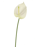 Anthurium artificiale 68 cm bianco