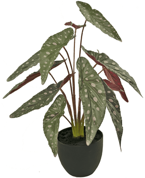 Begonia artificiale 48 cm in vaso ornamentale nero