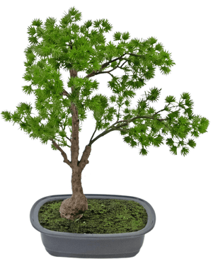 Bonsai finto Ginepro 40 cm