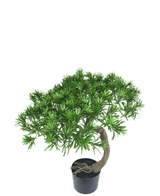 Bonsai finto Pino 55 cm