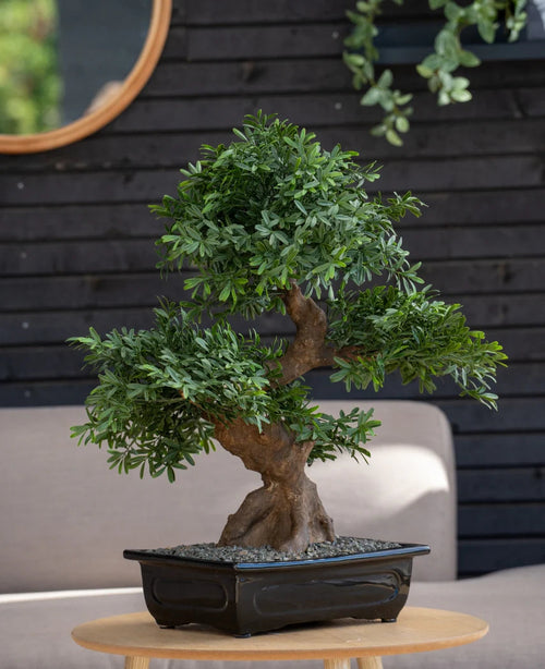 Un bonsai artificiale di 70 cm in un vaso con fitte foglie verdi si trova su un tavolo rotondo di legno davanti a un divano grigio, con una parete di legno nero e uno specchio rotondo sullo sfondo.