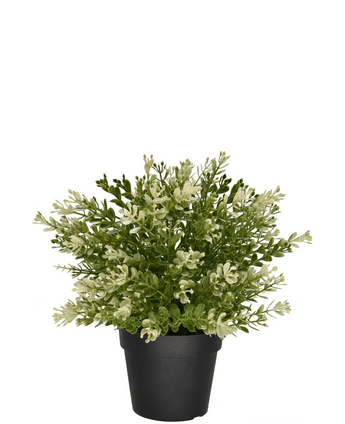 Buxus artificiale in vaso 23 cm UV