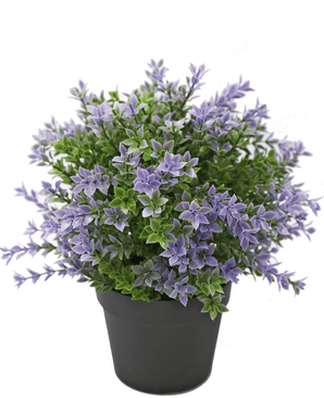 Buxus artificiale viola 22 cm UV
