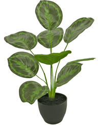 Calathea artificiale 48 cm in vaso ornamentale nero