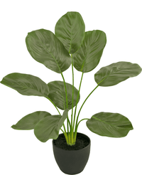 Calathea artificiale 48 cm in vaso ornamentale nero