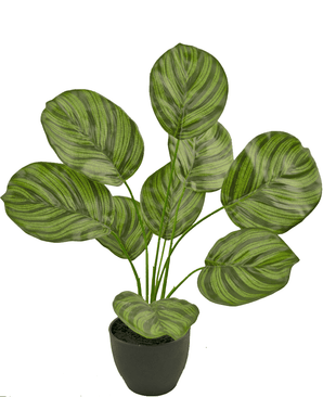 Calathea artificiale 48 cm in vaso ornamentale nero