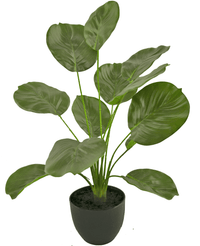 Calathea artificiale 58 cm verde in vaso decorativo nero