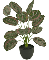 Calathea artificiale 58 cm verde/rossa in vaso decorativo nero