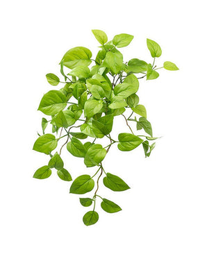 Cespuglio artificiale di Pothos Deluxe 60 cm