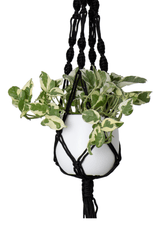 Corda da appendere Macrame Nodo a Spirale Singolo Nero Ø13 x H100 cm