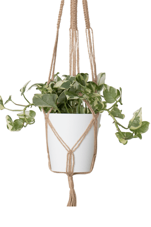 Corda da appendere Macrame Singolo Nodo Quadrato Naturale Ø13 x H100 cm