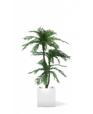 Cycas Artificiale Palmetto Classic 165 cm