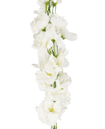 Delphinium artificiale Real Touch Bianco 90 cm