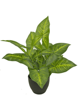 Dieffenbachia artificiale 40 cm in vaso decorativo nero