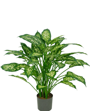 Una pianta artificiale di Dieffenbachia di 75 cm con foglie verdi lussureggianti, decorate con macchie giallo-verdi pallide, raffigurate su un semplice sfondo bianco.