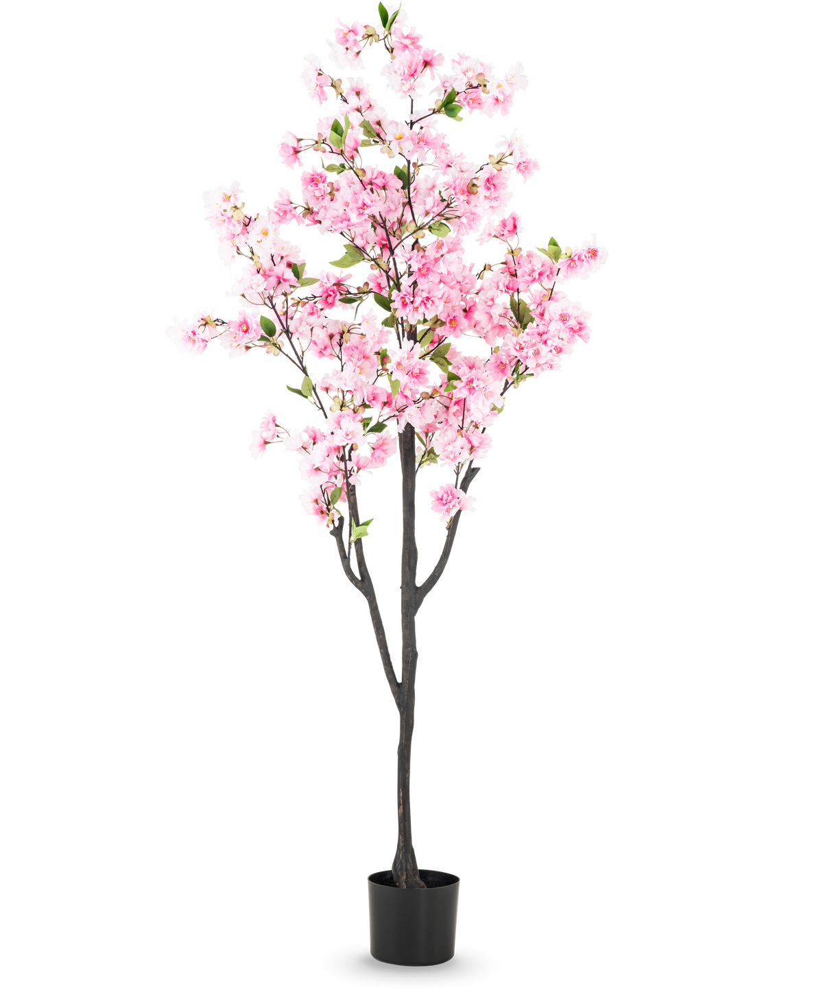 Il fiore di ciliegio artificiale rosa da 180 cm ha fiori rosa e foglie verdi in un piccolo vaso nero, su uno sfondo bianco semplice.