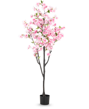 De Kunst Kersenbloesem 180 cm roze heeft roze bloesems en groene bladeren in een kleine zwarte pot, tegen een effen witte achtergrond.