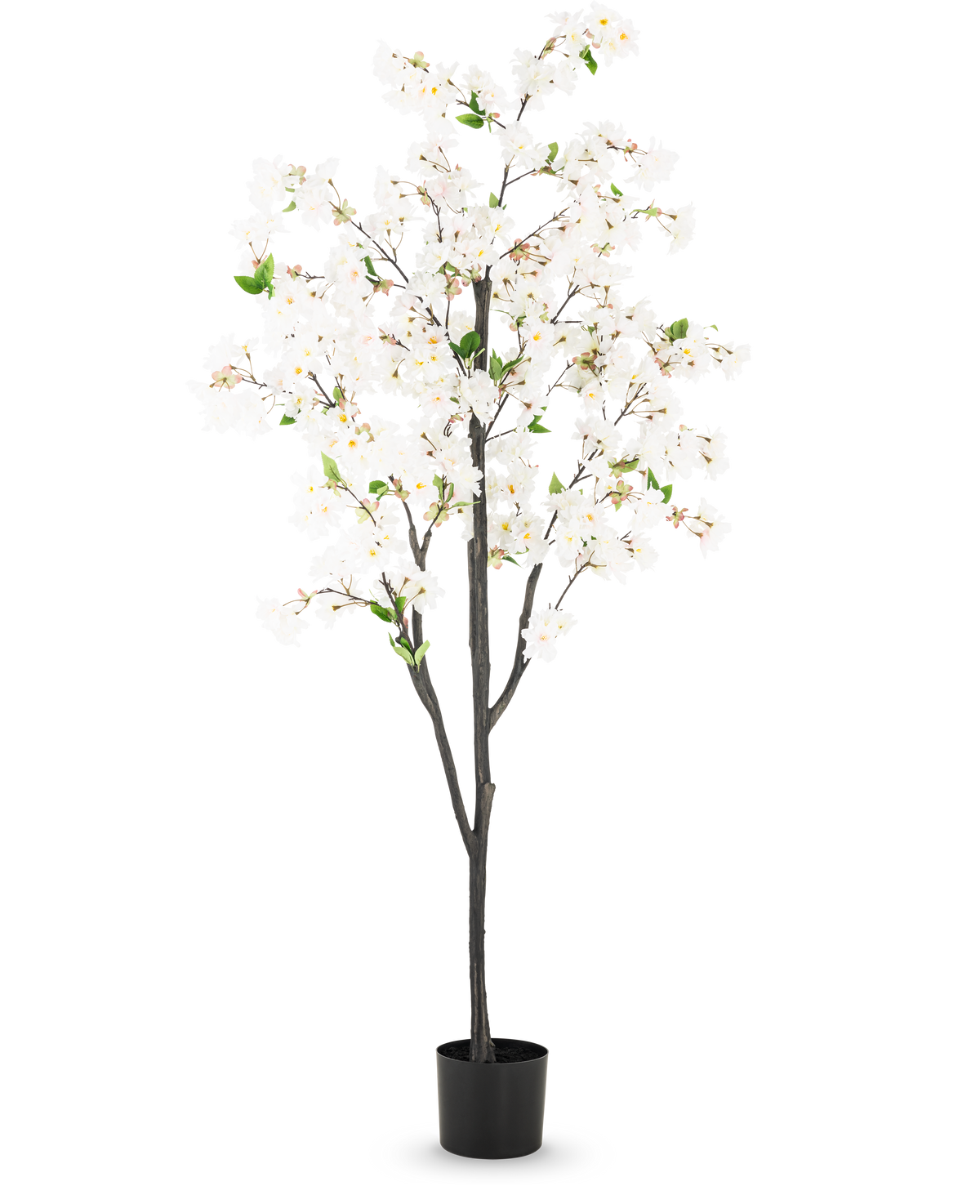 Il fiore di ciliegio artificiale bianco da 180 cm è un alto albero artificiale con diversi rami marrone scuro, fiori bianchi e foglie verdi in un semplice vaso nero, su uno sfondo bianco a tinta unita.
