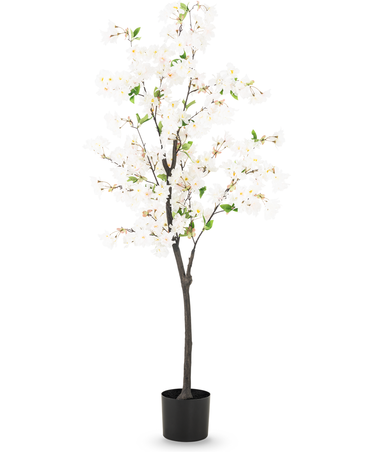 Il fiore di ciliegio artificiale bianco da 150 cm è un alto ciliegio artificiale con delicati fiori bianchi e piccole foglie verdi in un semplice vaso nero, raffigurato su uno sfondo chiaro.