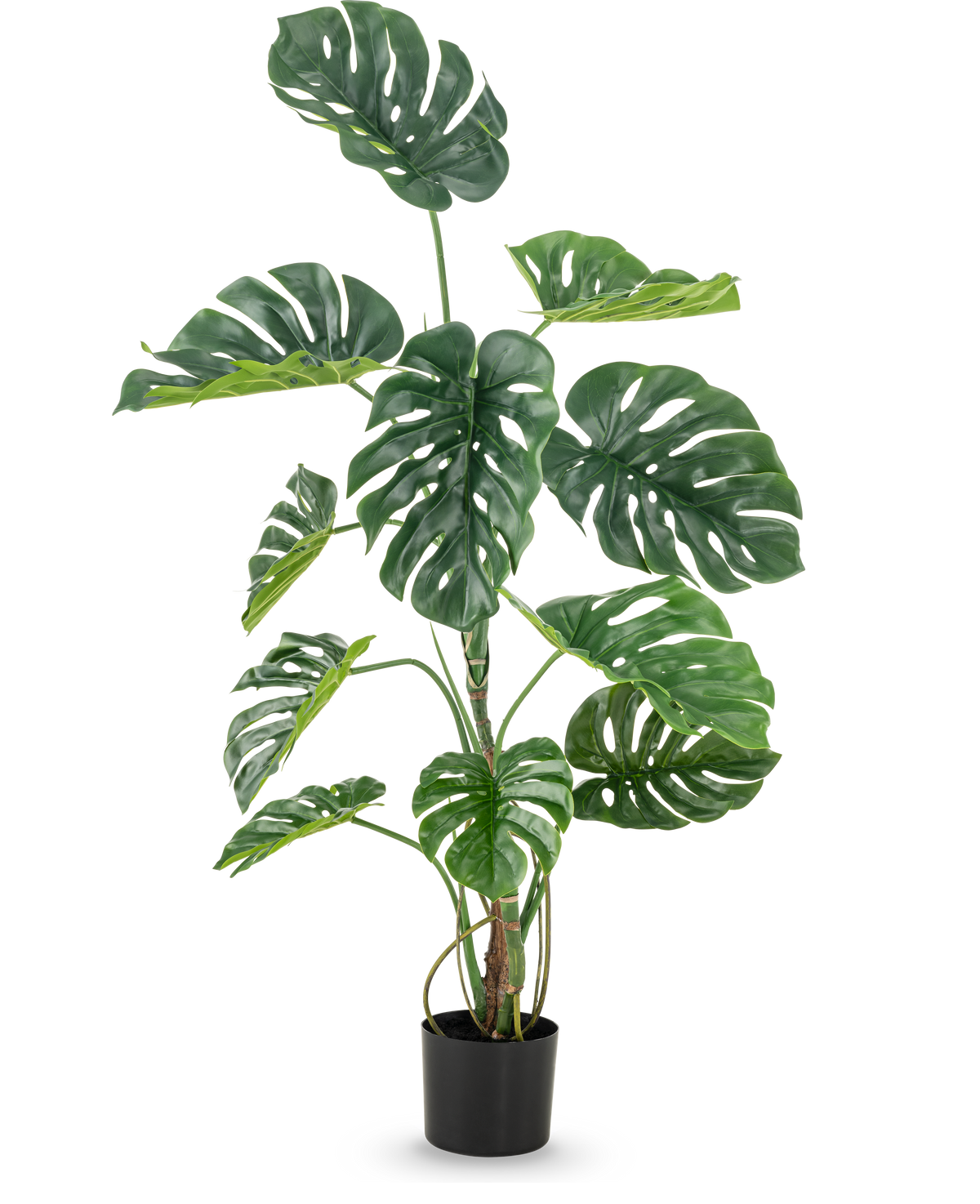 La pianta artificiale Monstera da 120 cm è un finto monstera alto in vaso con grandi foglie verdi lucide con fori e crepe dall'aspetto naturale, su uno sfondo bianco semplice.