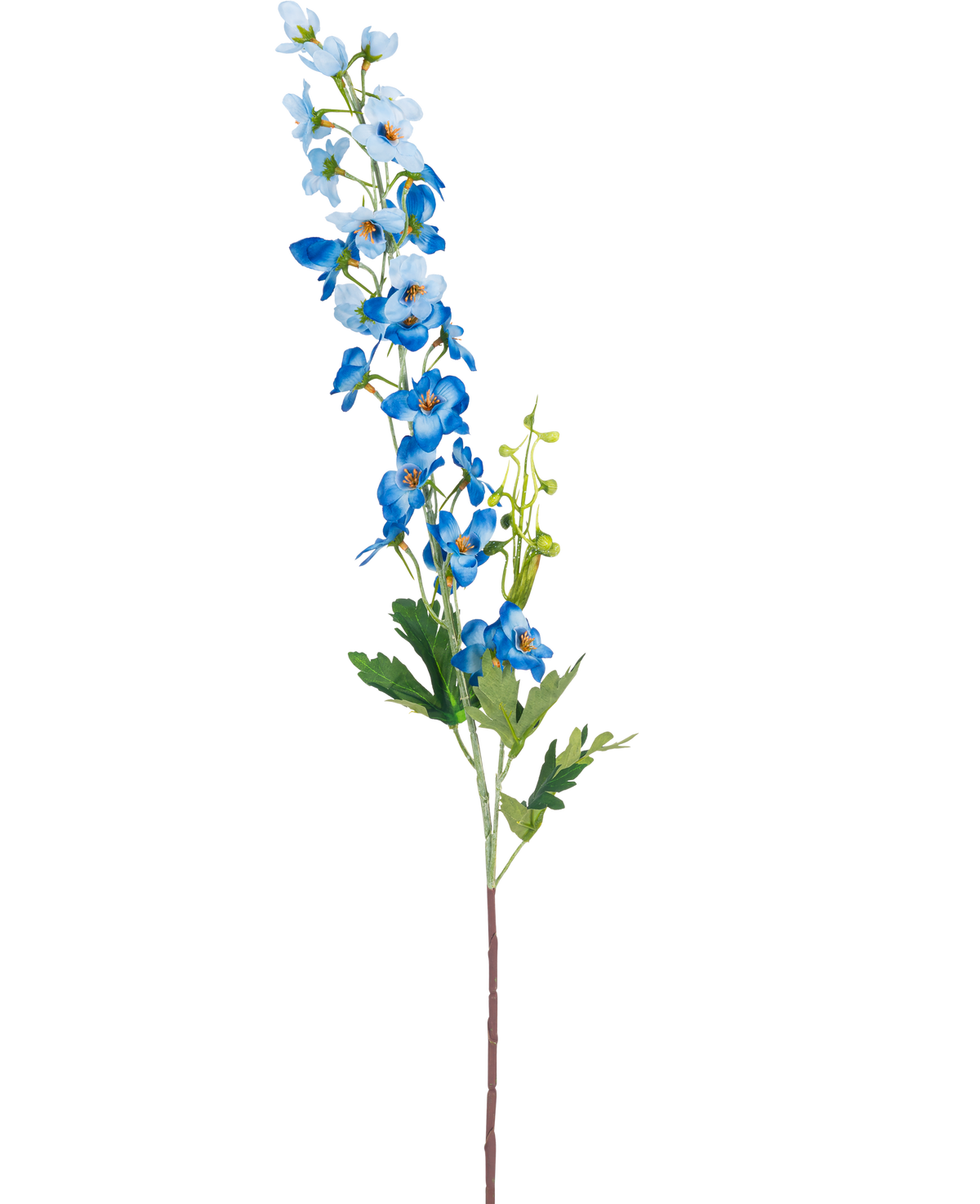 Il fiore artificiale Delphinium 79 cm blu ha un unico stelo lungo con fiori blu riuniti in mazzi e foglie verdi su sfondo bianco. I fiori vanno dal blu chiaro al blu intenso lungo la parte superiore dello stelo.