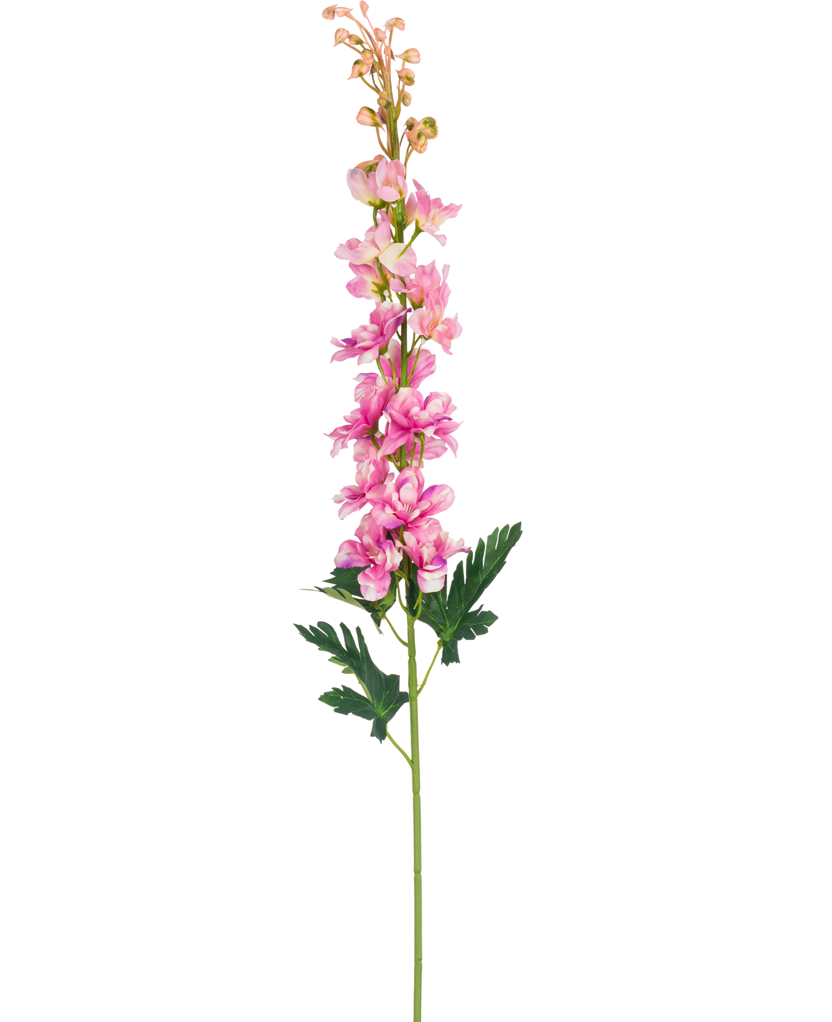 Un singolo fiore artificiale Delphinium 79 cm fiore rosa con foglie verdi profondamente lobate, isolato su sfondo bianco.