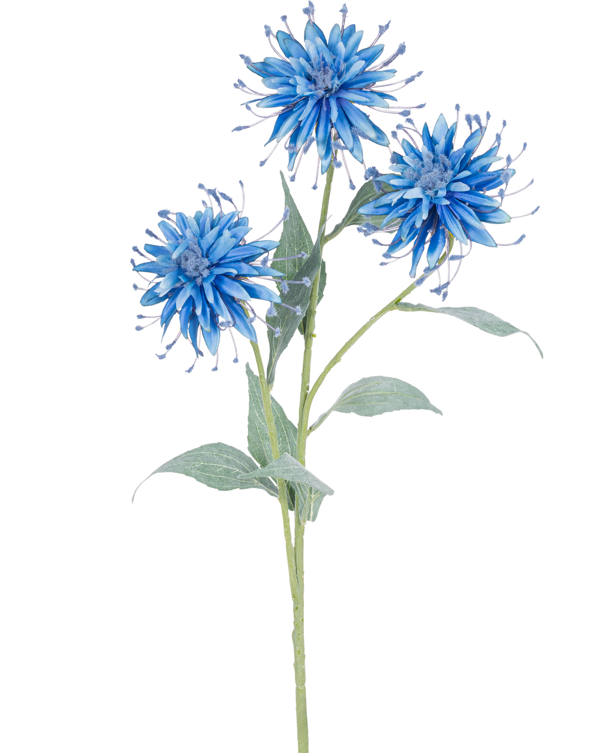 Il fiore artificiale Scabiosa Japonica 70 cm blu ha un unico stelo verde con tre fiori artificiali sottili e blu e diverse foglie verdi, su uno sfondo bianco semplice.