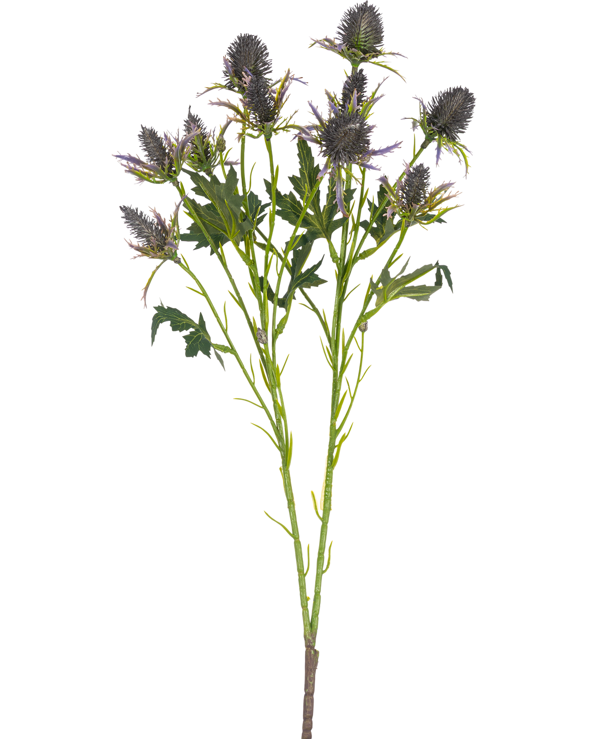 Il ramo di cardo artificiale blu da 68 cm ha un unico stelo con molteplici fiori di cardo blu appuntiti e foglie verdi seghettate, isolati su uno sfondo bianco.