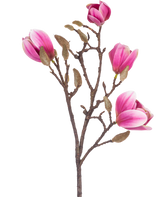 De Kunstbloem Magnolia 50 cm roze is een bruine kunstmagnolia tak met verschillende roze en witte bloemen en donzige knoppen, afgebeeld tegen een witte achtergrond.