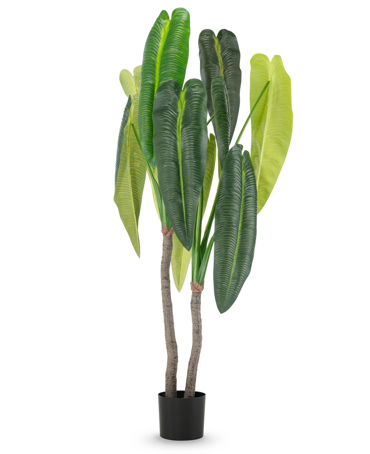 La pianta artificiale Anthurium 180 cm ha due steli marroni e grandi foglie verdi allungate in diverse tonalità, in un piccolo vaso nero su sfondo bianco.