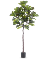De Kunstplant Ficus Tabaksplant Deluxe 215 cm is een hoge kunstvijg met grote groene bladeren en een slanke bruine stam, in een eenvoudige zwarte pot tegen een effen witte achtergrond.