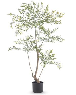 De Kunstplant Ruscus 120 cm is een hoge, slanke kunstplant met lange dunne takken met veel kleine groene blaadjes. Hij staat in een eenvoudige zwarte pot en brengt realistisch groen in elke ruimte zonder dat onderhoud nodig is.
