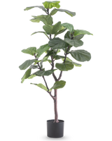 De Kunstplant Ficus Tabaksplant Deluxe 125 cm heeft grote, glanzende groene bladeren en een slanke bruine stam in een zwarte pot, die een Afrikaanse sfeer toevoegt als groene kamerplant tegen een witte achtergrond.