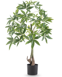 Piante Finte Pachira 120 cm
