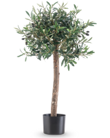 De Kunst olijfboom 85 cm UV heeft een rechte stam, dichte groene bladeren en zwarte olijven in een zwarte pot. Deze onderhoudsvriendelijke boom is UV-bestendig en perfect voor tegen een witte achtergrond.