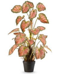 Piante Finte Caladium 90 cm rosa