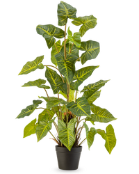 Piante Finte Trapa Bispinosa 90 cm verde