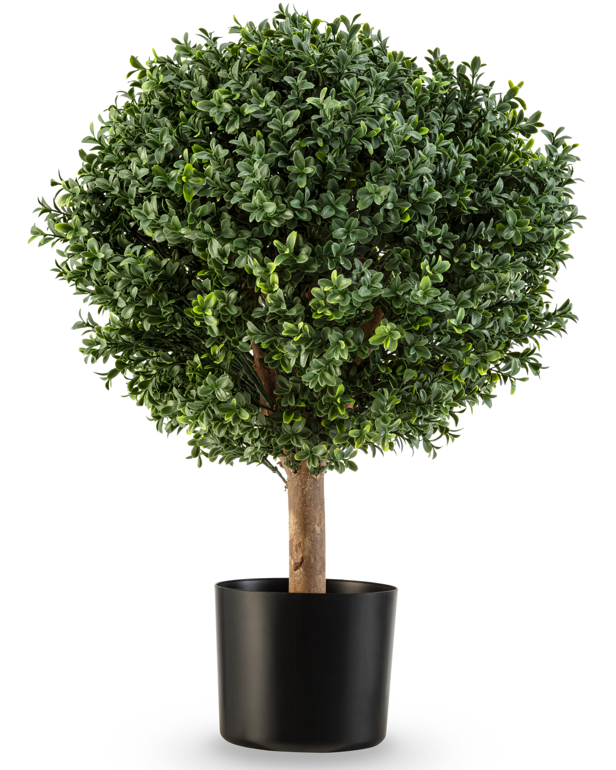 Il bosso artificiale su stelo stile romano UV 65 cm ha una forma rotonda, verde lussureggiante con fogliame denso in un semplice vaso nero, perfetto per aggiungere eleganza su uno sfondo bianco.