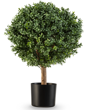 Il bosso artificiale su stelo stile romano UV 65 cm ha una forma rotonda, verde lussureggiante con fogliame denso in un semplice vaso nero, perfetto per aggiungere eleganza su uno sfondo bianco.