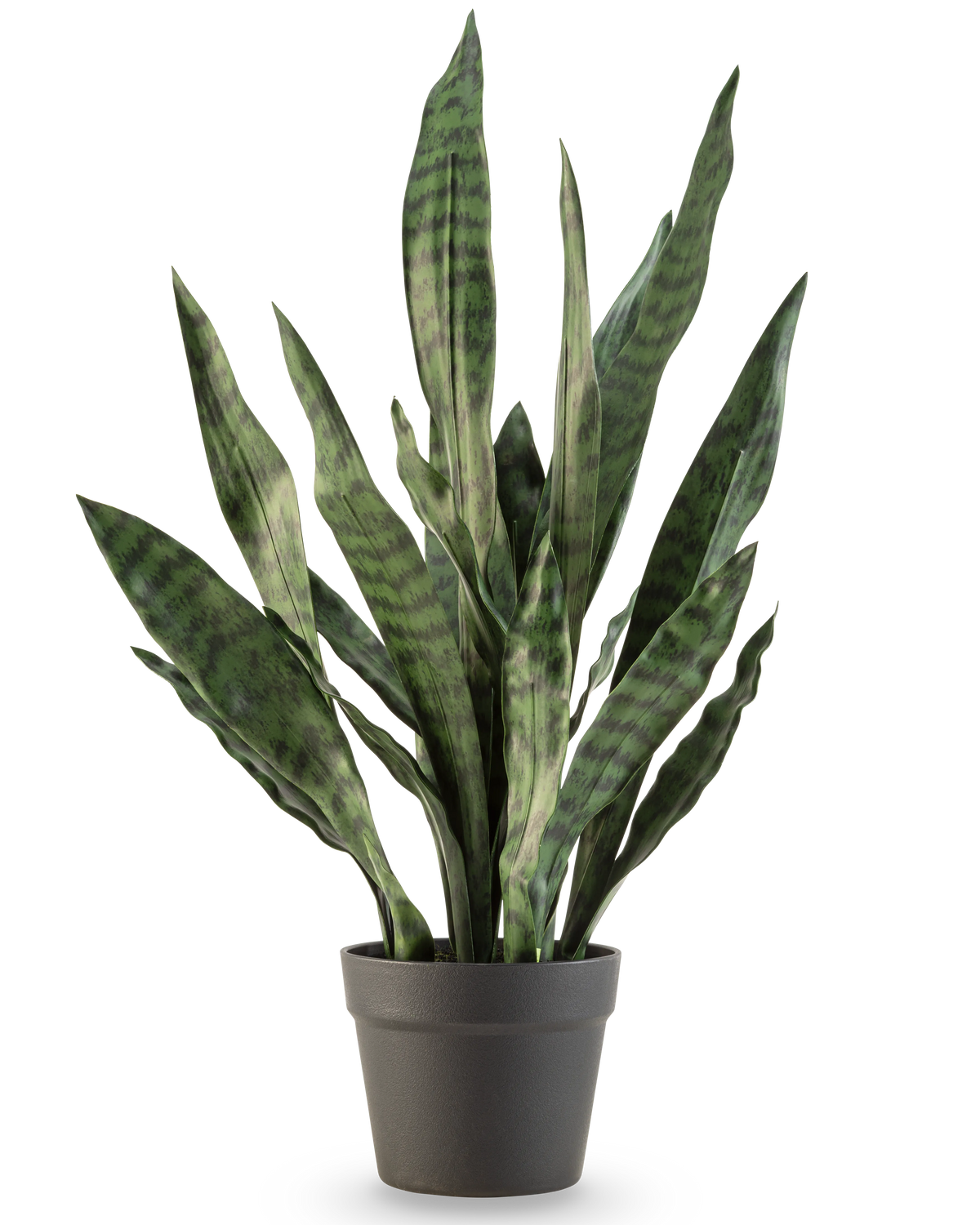 La pianta artificiale Sansevieria Zeylanica 71 cm ha foglie verdi lunghe ed erette con strisce orizzontali scure, in un semplice vaso grigio scuro su uno sfondo bianco a tinta unita.