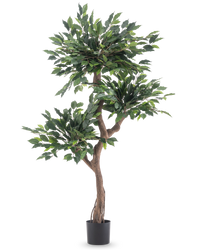 Pianta artificiale Ficus Crazy 150 cm