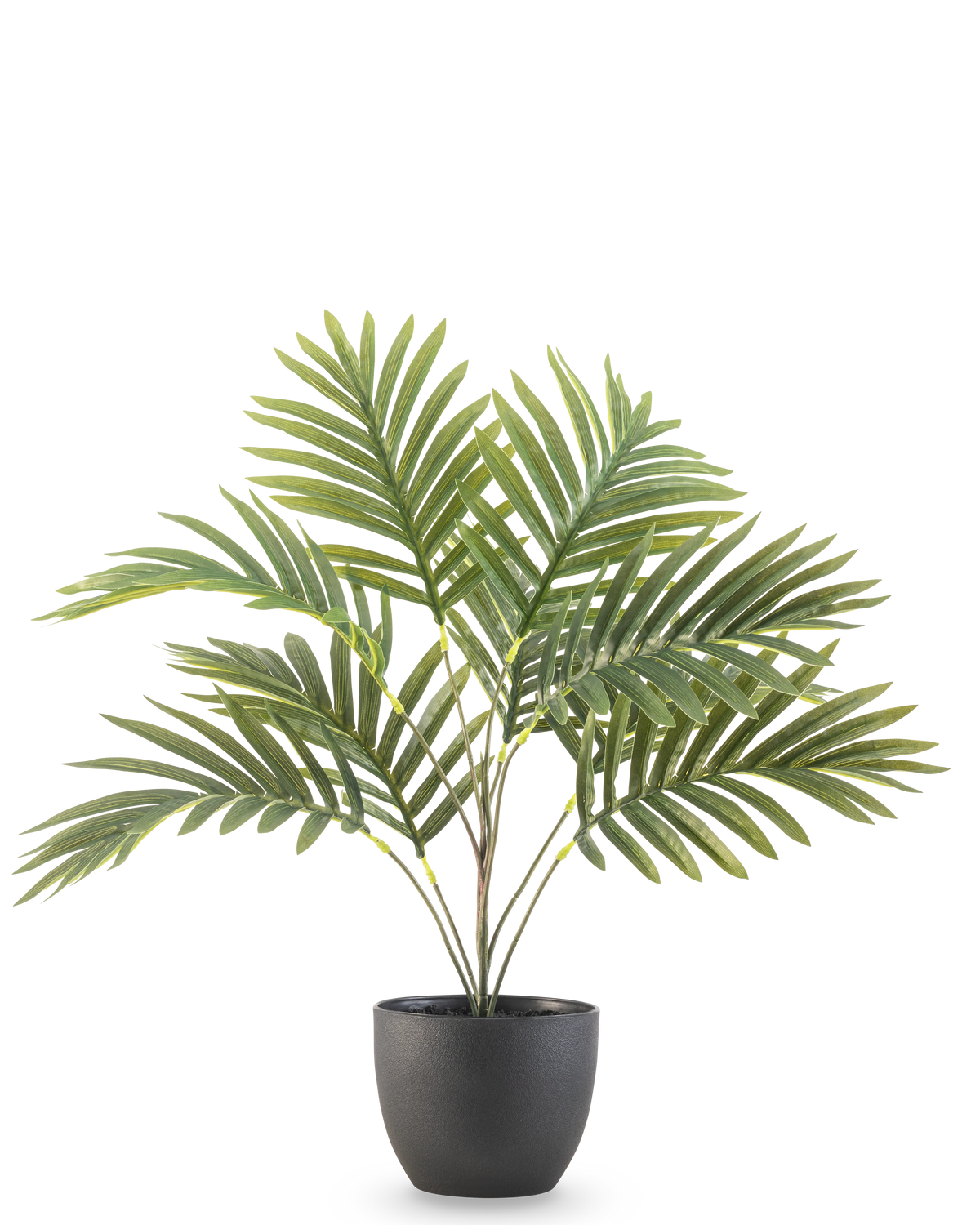 La palma artificiale Phoenix da 50 cm ha lunghe foglie verdi ricurve in un vaso decorativo rotondo nero, su uno sfondo bianco a tinta unita.