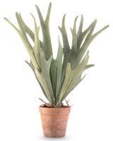 De Kunstplant Varen Staghorn 43 cm heeft levensechte groene, geweivormige bladeren in een kleine terracotta pot op een witte achtergrond.