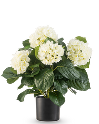 Ortensie finte 43 cm rosa