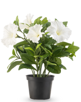 Een Kunstbloem Petunia plant UV 25 cm groot in een zwarte plastic pot heeft weelderige groene bladeren en meerdere grote, witte, trompetvormige bloemen, tegen een effen witte achtergrond.