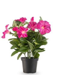 Pianta artificiale di Petunia 25 cm rosa scuro