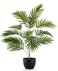 Palma Artificiale Phoenix 65 cm in vaso decorativo nero