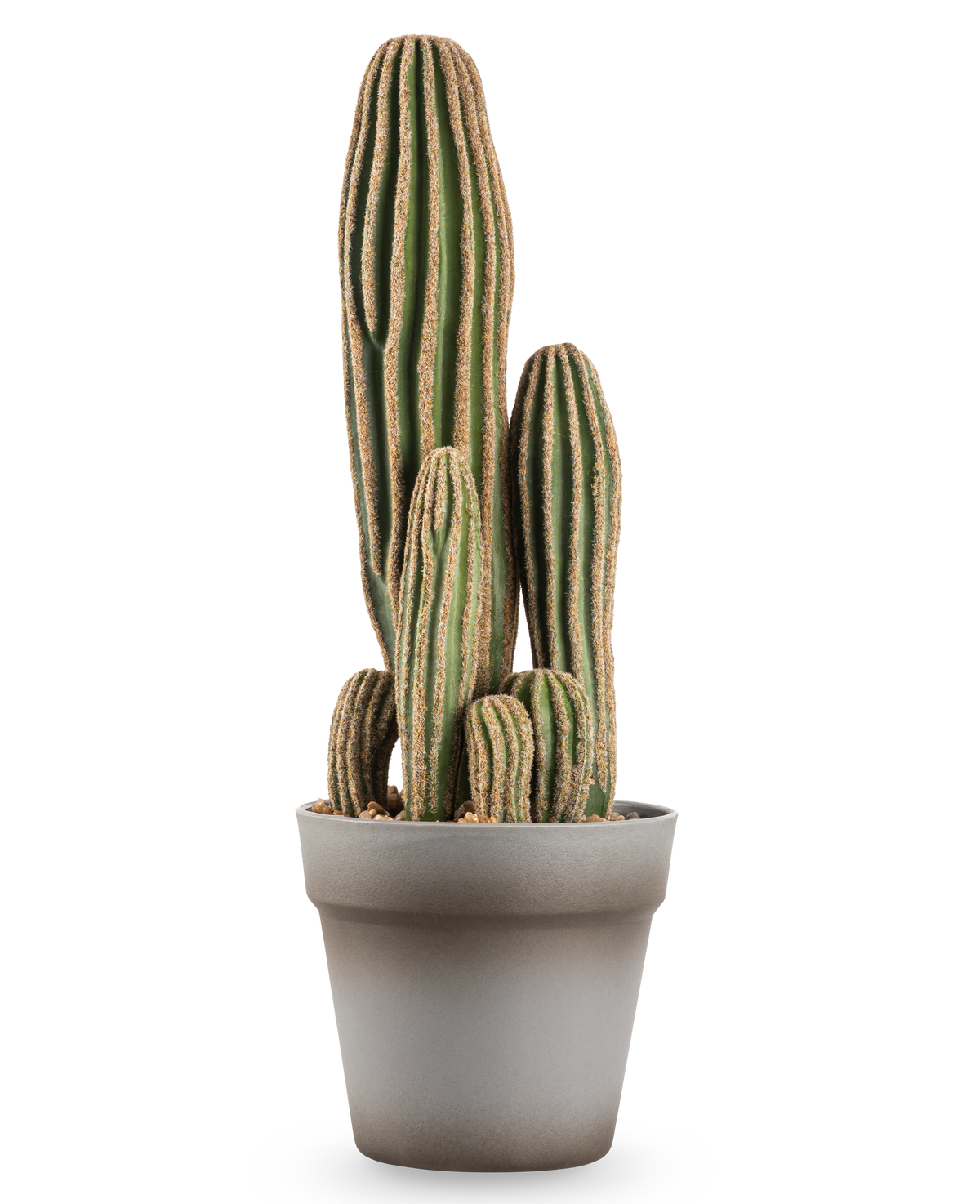 Il cactus artificiale da 41 cm è un cactus artificiale verde alto, con più steli, con creste verticali e bordi marroni, esposto in un semplice vaso da fiori grigio su uno sfondo bianco.