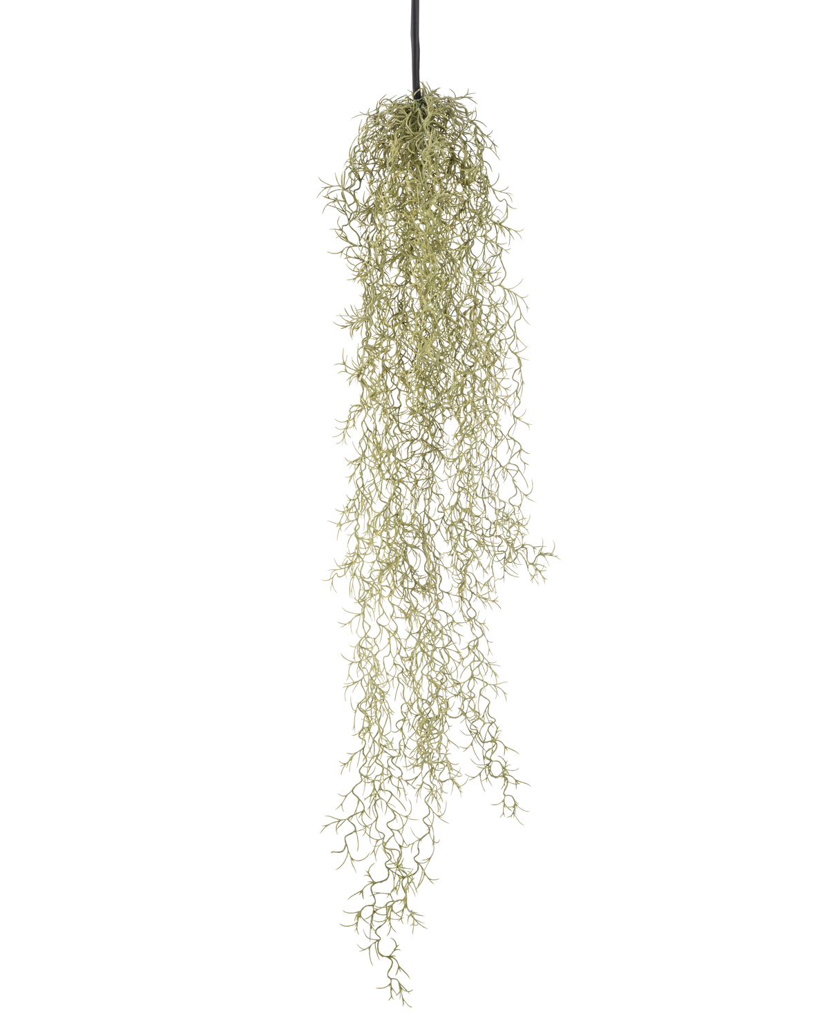 Una pianta pensile artificiale Grass 91 cm con lunghe foglie verdi chiare pendenti da un cordone nero su uno sfondo bianco.