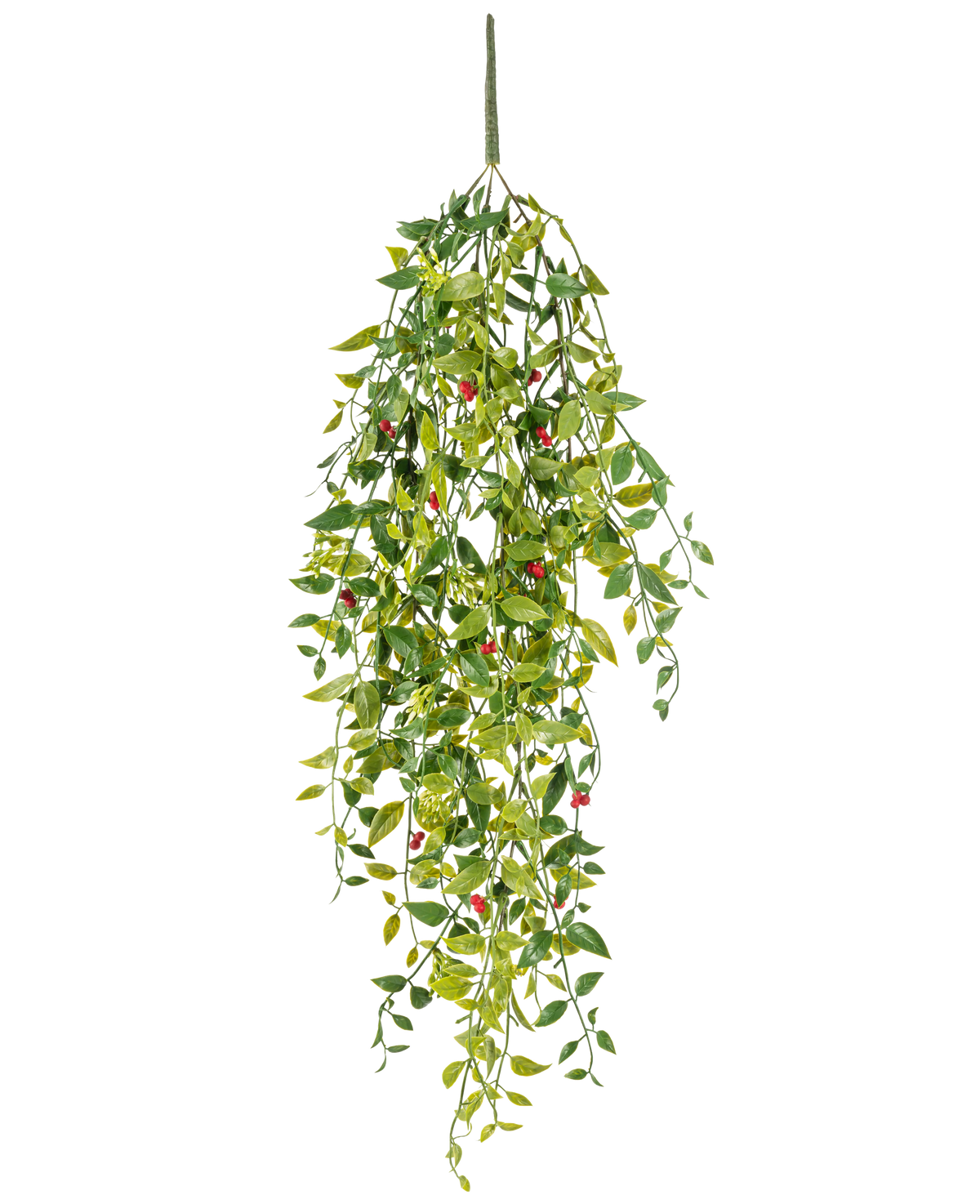 La pianta pensile artificiale Gardenia con bacche 81 cm è una pianta pensile artificiale con foglie verdi e piccole bacche rosse, raffigurata su sfondo bianco.